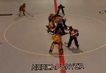 07270004.JPG (7286 �o�C�g)