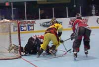 P1140183.jpg (5517 �o�C�g)