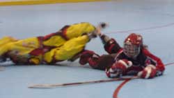 P1140186.jpg (4446 �o�C�g)