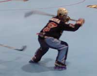 P1150016.jpg (3172 バイト)