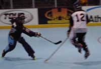 P1150037.jpg (3938 バイト)