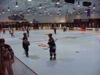 P1150119.jpg (5137 バイト)