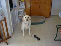 narch5_9.jpg (3928 �o�C�g)