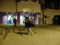 P1130014.jpg (3951 �o�C�g)