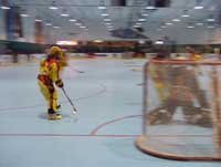 P1130076.jpg (4385 �o�C�g)