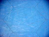 P1150146.jpg (2704 �o�C�g)